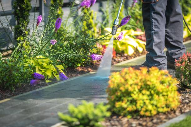 Best Factory Floor Cleaning  in Elkland, PA