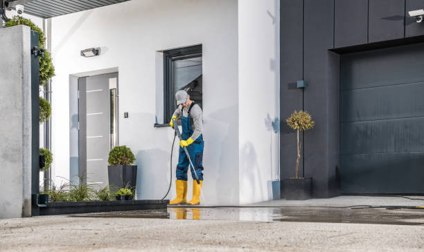 Best Solar Panel Cleaning  in Elkland, PA